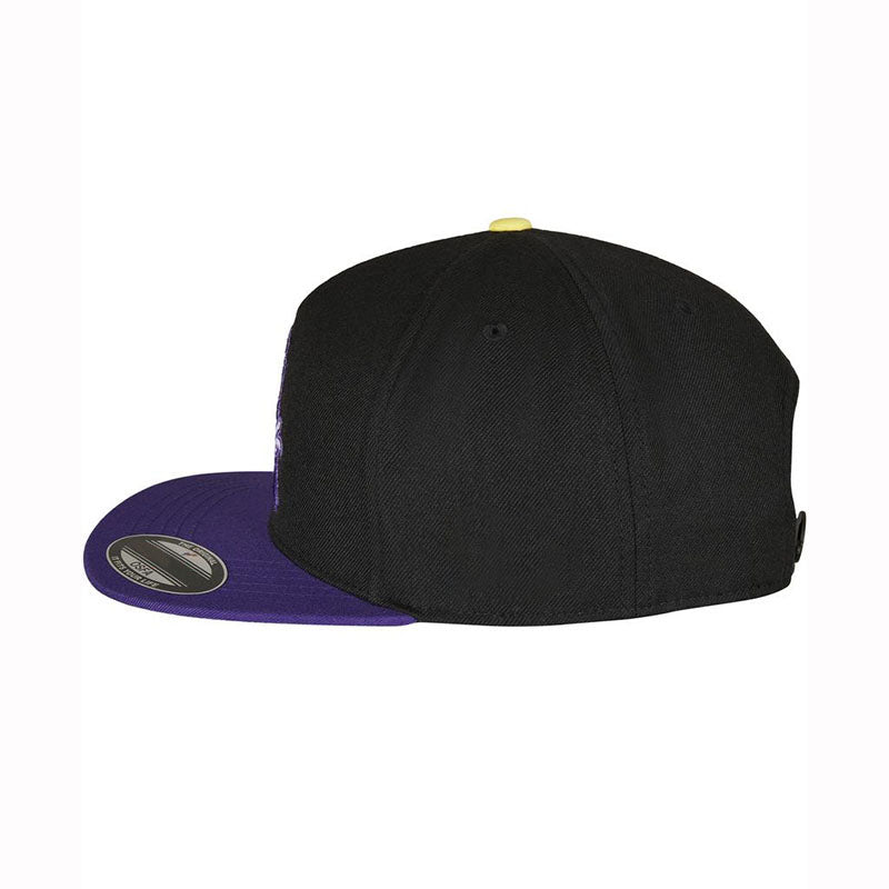 "Party" Cap